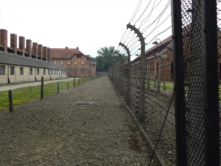 KL Auschwitz-Birkenau - 5.JPG