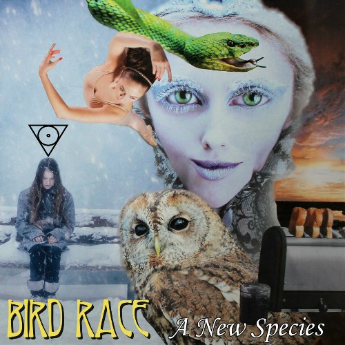 Bird Race - A New Species 2024 - cover.jpg